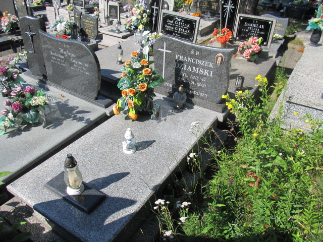 Grób Franciszek Dziamski
