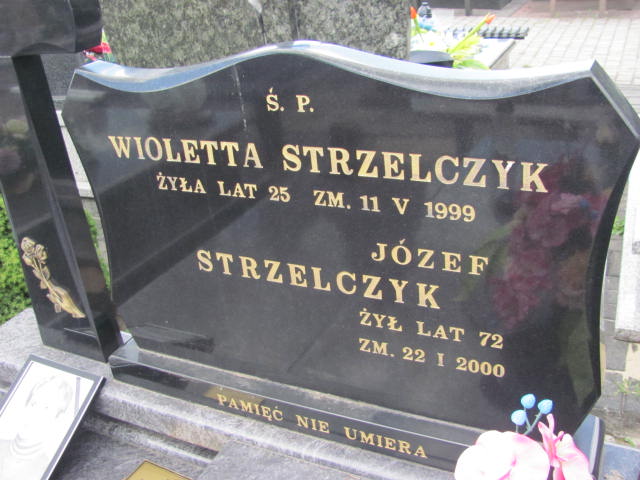Józef Strzelczyk Archidiecezja Łódzka - Grobonet - Wyszukiwarka osób pochowanych
