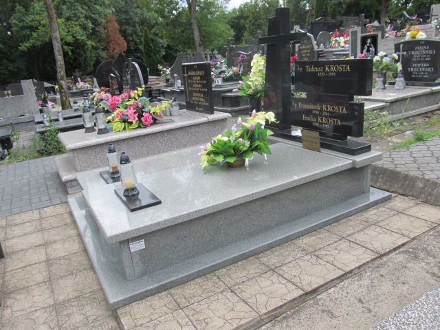 Grób Franciszek Krosta